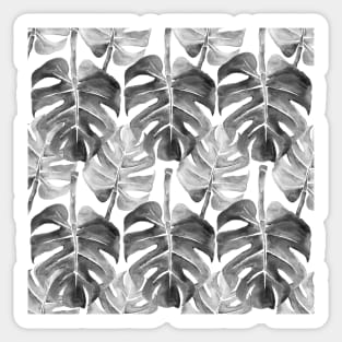 Black Monstera leaves Sticker